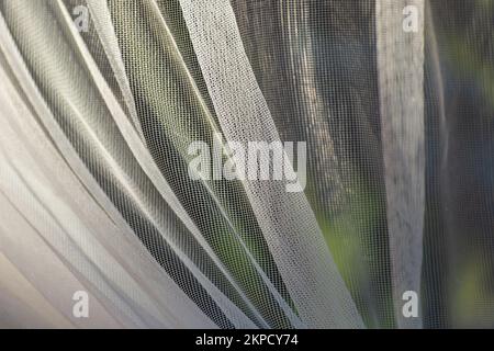 Primo piano di una tenda a rete bianca e spiegazzata nella finestra Foto Stock