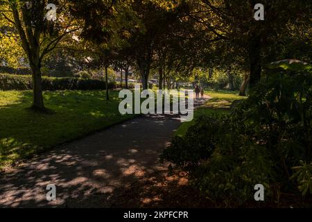 Nel tardo pomeriggio luce dorata attraverso gli alberi a Trenance Park a Newquay in Cornovaglia nel Regno Unito. Foto Stock