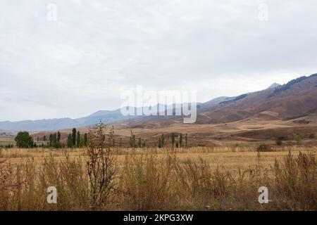 Tian Shan montagna nella mattina nebbia, Kirghizistan Foto Stock