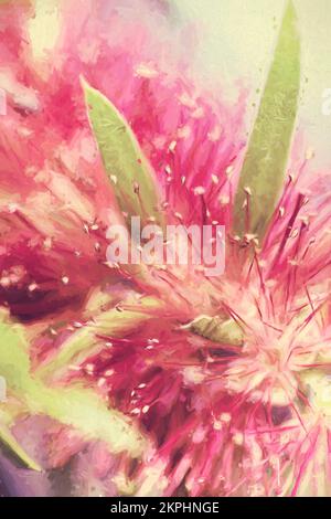 Pittura digitale d'arte del fiore nativo australiano di Bottlebrush con i toni del rosso e del verde. Flora creativa australiana Foto Stock
