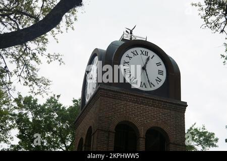 Torre dell'Orologio a Gainesville, Florida Foto Stock