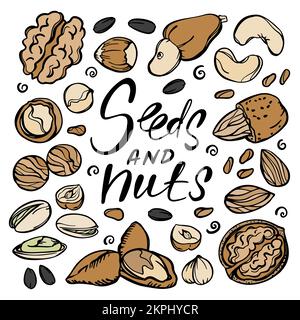 DISEGNO alimentare DI SEMI E NOCI con Pistacchio Almond Seed Noce nocciola Cashew con Text clip Art Vector Illustration Set for Print Illustrazione Vettoriale