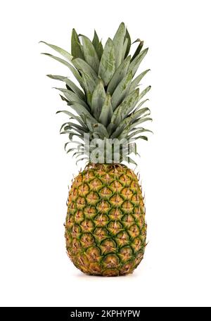 L'ananas maturo intero è in posizione verticale su uno sfondo bianco. Spazio di copia. Foto Stock