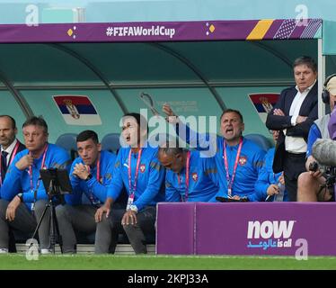 Doha, Qatar. 28th Nov, 2022.Novembre 28th, 2022, Stadio al Janoub, Doha, QAT, Coppa del mondo FIFA 2022, Gruppo G, Camerun vs Serbia, nella foto l'allenatore serbo Dragan Stojkovic Credit: dpa picture Alliance/Alamy Live News Foto Stock