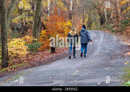 Farnham Common, Buckinghamshire, Regno Unito. 28th Novembre 2022. Era una giornata di sole, mentre la gente era fuori godendosi il tempo camminando a Burnham Beeches. Gli splendidi boschi, famosi per le sue querce e i faggi, sono di proprietà della City of London Corporation. I boschi sono un sito di interesse scientifico speciale e una riserva naturale nazionale. Credit: Maureen McLean/Alamy Live News Foto Stock