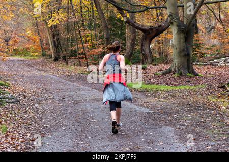 Farnham Common, Buckinghamshire, Regno Unito. 28th Novembre 2022. Era una giornata di sole, mentre la gente era fuori godendosi il tempo camminando a Burnham Beeches. Gli splendidi boschi, famosi per le sue querce e i faggi, sono di proprietà della City of London Corporation. I boschi sono un sito di interesse scientifico speciale e una riserva naturale nazionale. Credit: Maureen McLean/Alamy Live News Foto Stock