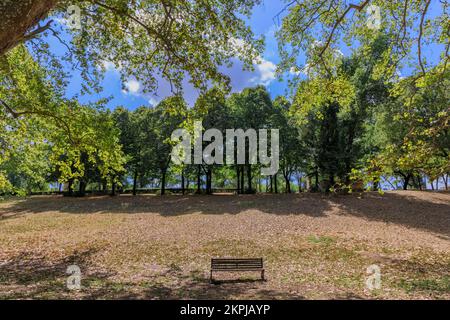 Giardino di Villa borghese a Roma: Panchina solitaria circondata da alberi. Foto Stock