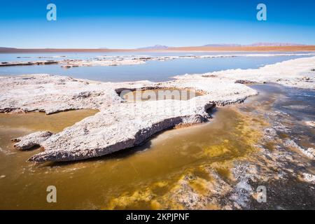 Vista panoramica della Laguna Hedionda sull'Altiplano (alta pianura), Provincia di sur Lípez, Bolivia Foto Stock