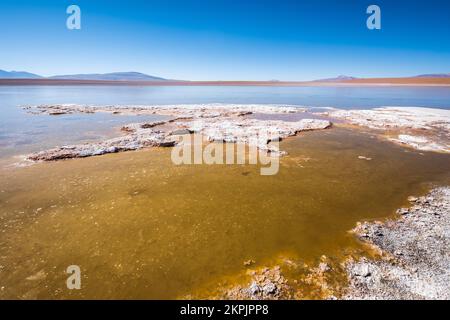 Vista panoramica della Laguna Hedionda sull'Altiplano (alta pianura), Provincia di sur Lípez, Bolivia Foto Stock