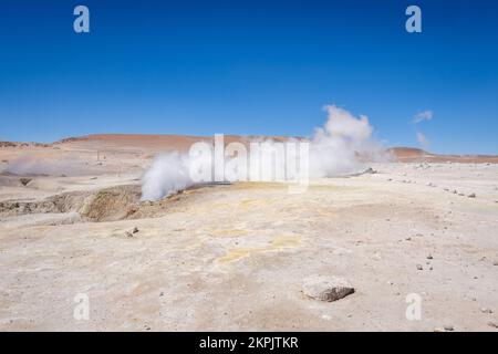 Colonna di vapore da un geyser a Sol de Mañana (Morning Sun) Area geotermica nella Riserva Nazionale Eduardo Avaroa, Bolivia Foto Stock