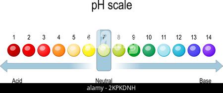 scala ph. Tabella dei valori di pH per soluzioni acide e alcaline. equilibrio acido-base. infografica, illustrazione vettoriale Illustrazione Vettoriale