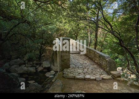 Vecchio ponte romano nella gola di Spelunca, una destinazione popolare per escursioni lungo un vecchio sentiero romano a piedi sull'isola di Corsica in Francia Foto Stock