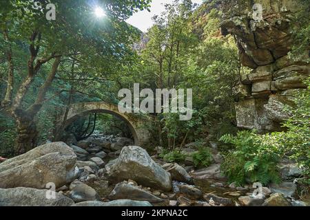 Vecchio ponte romano nella gola di Spelunca, una destinazione popolare per escursioni lungo un vecchio sentiero romano a piedi sull'isola di Corsica in Francia Foto Stock