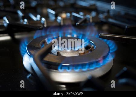 Primo piano di fiamme blu accese su un singolo anello a gas su una stufa/fornello residenziale. Costo della crisi energetica vivente nel Regno Unito. Foto Stock