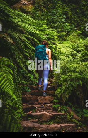 Descrizione: Donna atletica con zaino cammina su stretto su sentiero avventuroso giungla con molte farne. Levada di Caldeirão Verde, Isola di Madeira, Portu Foto Stock