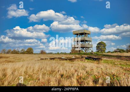 Torre panoramica accessibile al pubblico a Het Aekingerzand, parte del parco nazionale Drents-Friese Wold con vista sulle dune di sabbia chiamate Kale D. Foto Stock