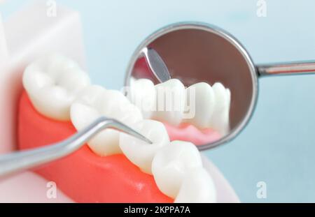 Vista frontale della dentiera completa. Denti falsi, ganasce. Modello a denti bianchi e strumenti dentali su blu. Concetto di cura per la cura orale dei denti. Conc. Odontoiatria Foto Stock