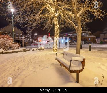 Panca del parco nella neve con l'albero decorato di Natale a Canmore, Alberta, Canada Foto Stock
