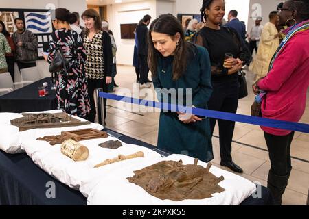 Manufatti in mostra al Museo e Giardini Horniman nel sud di Londra durante una cerimonia in cui il museo ha iniziato il processo ufficiale di ritorno dei bronzi del Benin saccheggiati in Nigeria. Il Museo Horniman, che ospita una collezione di 72 oggetti preziosi che sono stati presi con la forza da Benin City nel 1897, ha ufficialmente consegnato la proprietà dei manufatti al governo nigeriano il lunedì. Data immagine: Lunedì 28 novembre 2022. Foto Stock