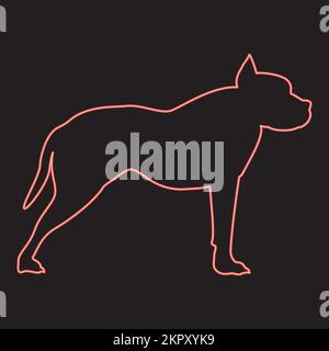 Neon pit bull terrier rosso colore vettore immagine immagine piatta luce Illustrazione Vettoriale