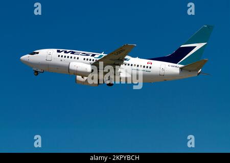 Un WestJet Boeing 737-600 poco dopo il decollo dall'aeroporto internazionale di Londra, Londra, Ontario, Canada. Foto Stock