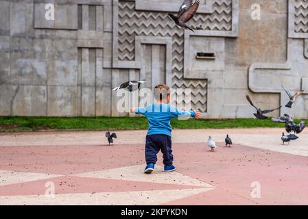 Vista posteriore del bambino in vestito blu inseguendo piccioni con le braccia aperte a Praca Carlos Chagas, Praca da Assembleia, a Belo Horizonte, Brasile. Foto Stock