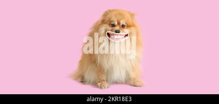 Carino cane sorridente con labbra umane su sfondo rosa Foto Stock