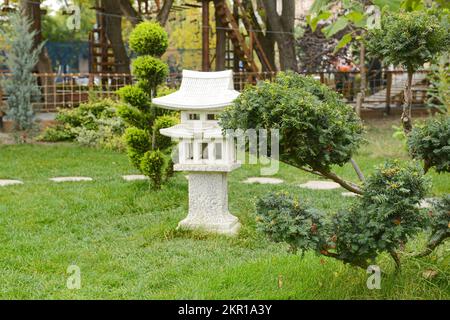 Cespugli verdi e prato in un bellissimo parco Foto Stock