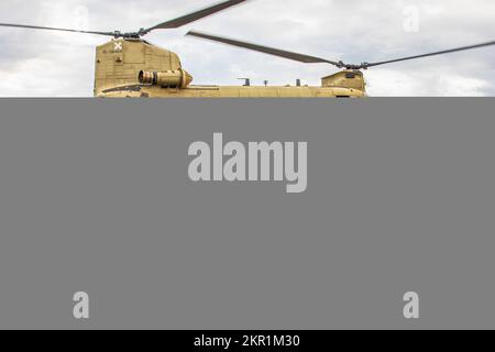 STATI UNITI Boeing dell'esercito CH-47 Chinook da 3rd squadrone, 4th reggimento di cavalleria, 3rd squadra di combattimento di Brigata, 25th divisione di fanteria, recupera il M777 Howitzer sui campi di addestramento di Pohakuloa, Hawaii, 5 novembre 2022. I leader di tutta la forza congiunta hanno osservato che l'imbracatura CH-47 Chinook carica il M777 Howitzer durante il Joint Pacific multinazionale Readiness Center per migliorare la comprensione condivisa delle capacità combinate. Foto Stock