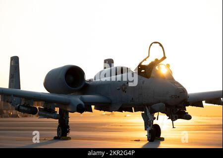 Un pilota Thunderbolt II A-10, assegnato allo Squadrone Figher 354th, e un Airman dello Squadron Fighter Generation 354th, comunicano prima di tassare per il decollo in un luogo di emergenza simluated durante l'esercizio Bushwhacker 22-07 sulla linea di volo presso la base congiunta Langley-Eustis, Virginia, 7 novembre 2022. Nel corso dell'esercizio, Airmen ha affrontato una varietà di scenari di formazione per accedere e rafforzare e rafforzare le competenze e la capacità di adattamento di Airmen multi-capacità a diversi ambienti. (STATI UNITI Foto dell'Aeronautica militare di Sgt. Kristine Legate) Foto Stock