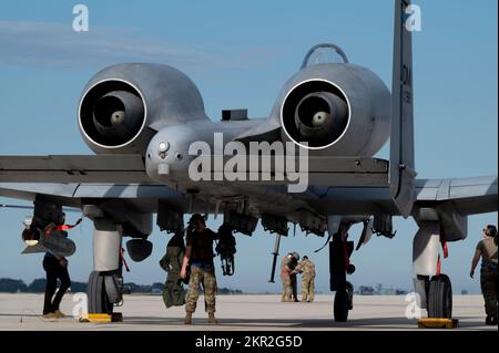 I militari dello Squadrone della 354th Fighter Generation, assegnati alla 355th Wing presso la base dell'aeronautica Davis-Monthan, Arizona, eseguono un controllo post volo su un A-10 Thunderbolt II in una posizione di emergenza simulata durante l'esercizio Bushwhacker 22-07 sulla linea di volo presso la base congiunta Langley-Eustis, Virginia, 7 novembre 2022. Per questa iterazione di Bushwhacker, gli Airmen sono stati distribuiti in più sedi in Virginia e hanno mostrato la capacità di DM di realizzare il concetto di Lead Wing. (STATI UNITI Foto dell'Aeronautica militare di Sgt. Kristine Legate) Foto Stock