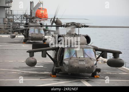 Due Stati Uniti Esercito UH-60m elicotteri Black Hawk 3rd Battaglione, 142nd Aviation Regiment, Battaglione di elicottero d'assalto, attaccato alla Brigata di Aviazione di combattimento 36th, condurre atterraggi sul ponte della USS Lewis B. Puller nel Golfo Persico, 10 novembre 2022. Due Stati Uniti Army UH-60m Black Hawk elicotteri con 3-142nd AHB, e due AH-64E Apache elicotteri con 1st battaglione, 101st Aviation Regiment, Attack Helicopter Battaglione, anche attaccato al taxi 36th, condotto le qualifiche di atterraggio ponte per imparare le procedure operative degli Stati Uniti Navy. La CABINA 36th, mobilizzata come Task Force Mustang, fornisce uno spettro completo Foto Stock