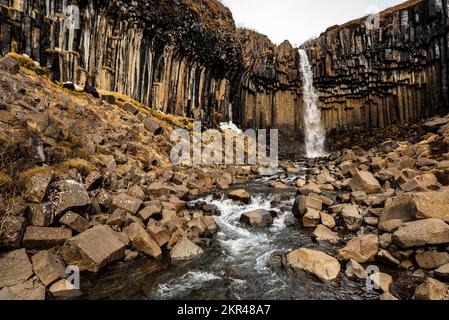 Le uniche colonne basaltiche intorno alla cascata di Svartifoss, Skaftafell, che forma un anfiteatro geologico, in una nuvolosa giornata nel tardo inverno in Islanda Foto Stock