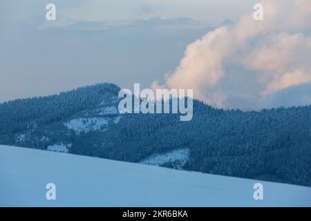 Il muro di abete rosso è coperto di neve nelle montagne invernali. Bella foresta invernale densa Carpazi Foto Stock