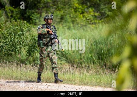 Un soldato dell'esercito colombiano conduce una pattuglia del piede durante una corsia di esercitazione di addestramento situazionale durante l'esercitazione della Vanguard meridionale 23 il 9 novembre 2022 alla base militare di Tolemaida, Colombia. Esercitazione Southern Vanguard è negli Stati Uniti Il primo esercizio di addestramento dell'esercito del Sud, che si svolge a livello operativo e tattico, ha lo scopo di aumentare l'interoperabilità tra le forze degli Stati Uniti e dell'emisfero occidentale. L'iterazione di quest'anno, Esercitazione Southern Vanguard 23, coinvolge soldati statunitensi Esercito del Sud e degli Stati Uniti Addestramento della Guardia nazionale dell'esercito insieme ai soldati dell'esercito colombiano in terreno variabile mentre co Foto Stock