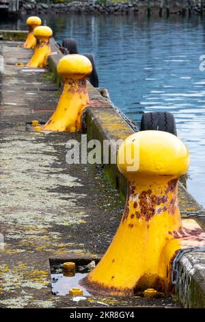 I paletti gialli sul lungomare, Wellington, North Island, Nuova Zelanda Foto Stock