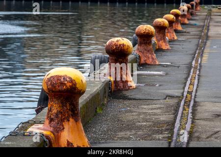 I paletti gialli sul lungomare, Wellington, North Island, Nuova Zelanda Foto Stock