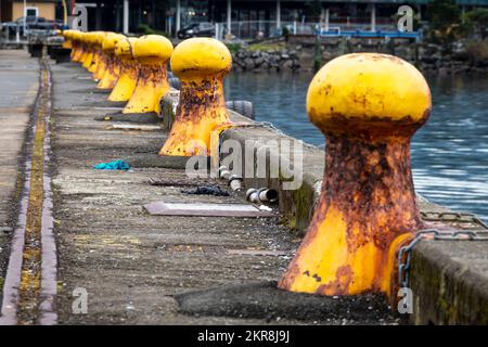 I paletti gialli sul lungomare, Wellington, North Island, Nuova Zelanda Foto Stock