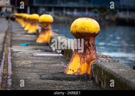 I paletti gialli sul lungomare, Wellington, North Island, Nuova Zelanda Foto Stock