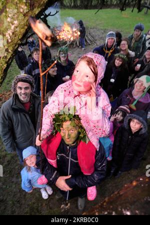 La pioggia torrenziale non ha arrestato una cerimonia di wassailing Ay Nibley House orchard in Nibley nord, Gloucestershire - Iris Adams (età 10) sui suoi padri dovrebbero Foto Stock