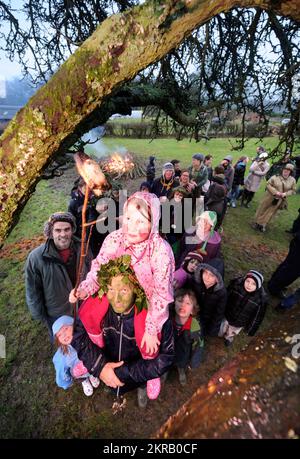 La pioggia torrenziale non ha arrestato una cerimonia di wassailing Ay Nibley House orchard in Nibley nord, Gloucestershire - Iris Adams (età 10) sui suoi padri dovrebbero Foto Stock