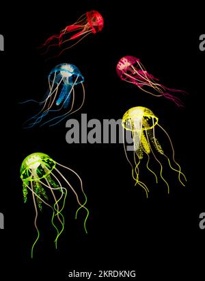 Colorata arte subacquea su meduse marine nuotare in un gruppo di cinque persone. Colori della vita acquatica Foto Stock