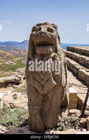 Monte Nemrut, Nemrut Dagi, terrazza est, statue dei leoni, regno del Commagene, Kahta, provincia di Adıyaman, Turchia, Asia Foto Stock