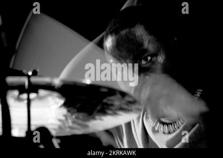 ROY AYERS, CONCERTO, 2006: La band di supporto del padrino degli Acid Jazz live at the Point a Cardiff, Galles, Regno Unito, il 12 luglio 2006. Figura: ROB WATKINS. INFO: Roy Ayers è un vibrafonista e cantante jazz americano, rinomato per il suo influente lavoro nel jazz, nel funk e nel soul. Con album classici come "Everybody Loves the Sunshine", Ayers è diventata una figura chiave nello sviluppo della musica jazz e fusion. Foto Stock