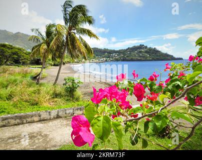 Vista di una spiaggia deserta nelle Isole Grenadine, Caraibi. Foto Stock