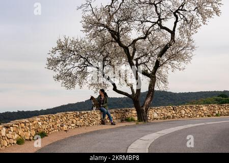 Donna in abiti caldi cane a piedi riposo vicino all'albero ammirando pittoresco scenario di colline in giorno nuvoloso Foto Stock