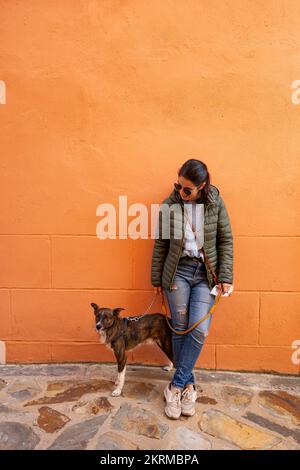 Corpo completo di giovane padrona in jeans giacca calda e occhiali da sole appoggiati al muro mentre cammina cane con pelliccia marrone Foto Stock