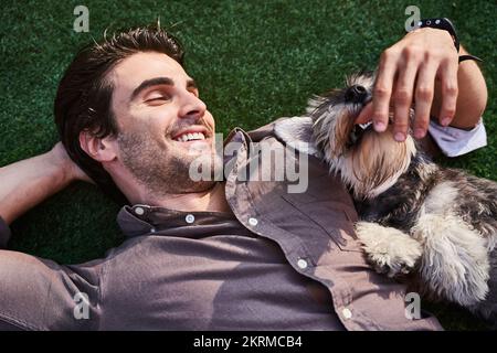 Vista dall'alto di un uomo adulto porticato in camicia sdraiato su un prato verde e carezzante cane carino nelle giornate di sole Foto Stock