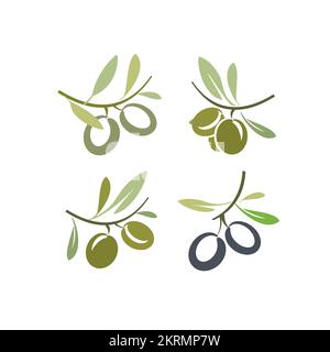 olive sul ramo. olio di olive Illustrazione Vettoriale