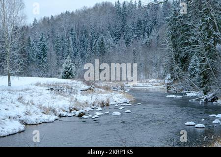 Paesaggio invernale nel Parco Nazionale di Gauja. Fiume Amata in inverno. Foto Stock